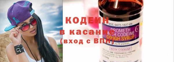 дживик Белокуриха