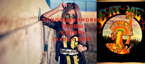дживик Белокуриха