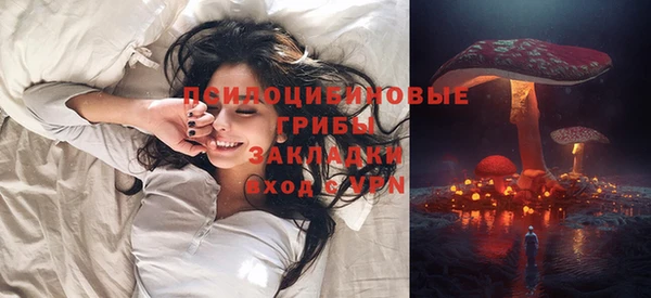 дживик Белокуриха