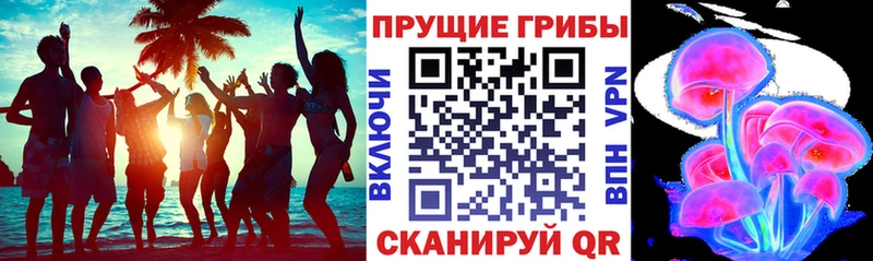 Псилоцибиновые грибы ЛСД  купить   Красавино 