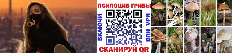 Галлюциногенные грибы Psilocybe Красавино